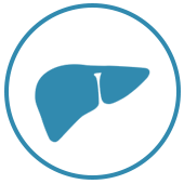liver-icon.png
